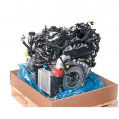 Motor gasolina 