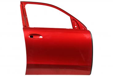 Puerta delantera derecha 