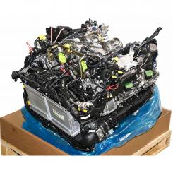 Motor gasolina 