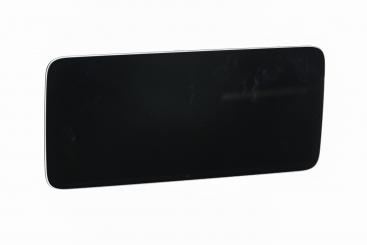 Monitor del display central 