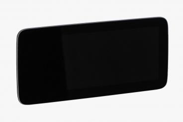 Monitor del display central 
