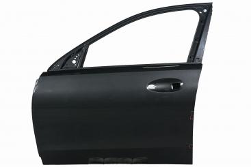 Puerta delantera izquierda 