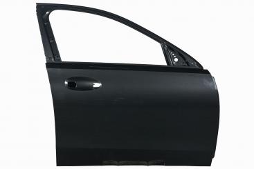 Puerta delantera derecha 