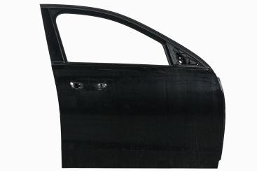 Puerta delantera derecha 
