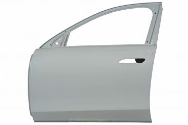 Puerta delantera izquierda 