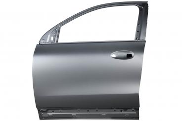 Puerta delantera izquierda 
