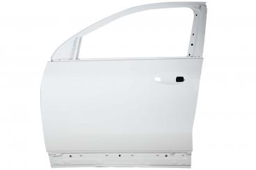 Puerta delantera izquierda 