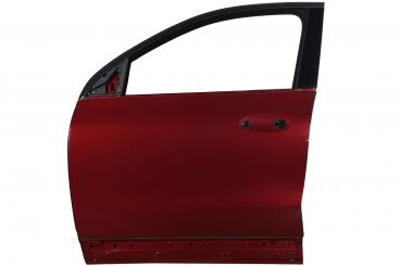 Puerta delantera izquierda 