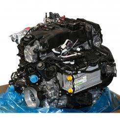 Motor gasolina 