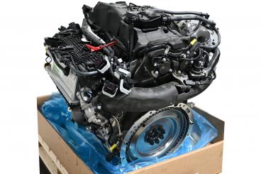 Motor gasolina 