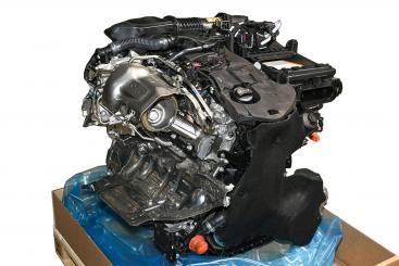 Motor gasolina 