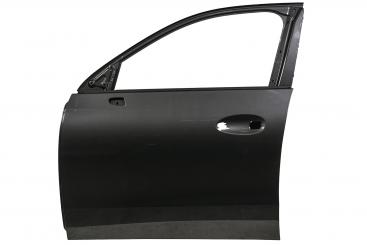 Puerta delantera izquierda 