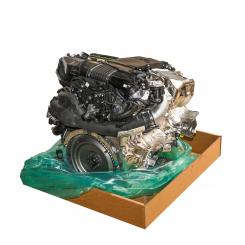Motor gasolina