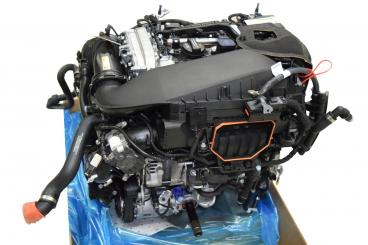 Motor gasolina 