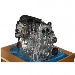 Motor gasolina 282814