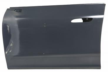 Puerta delantera izquierda 