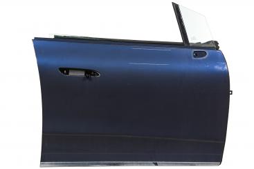 Puerta delantera derecha 