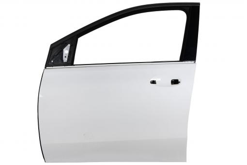 Puerta delantera izquierda