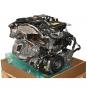 Motor gasolina 256930  - OSC_IMAGE 1