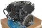 Motor gasolina 264920  - OSC_IMAGE 1
