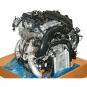 Motor gasolina 264920  - OSC_IMAGE 1