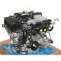 Motor gasolina 274920  - OSC_IMAGE 1