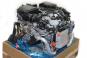 Motor gasolina 276824  - OSC_IMAGE 1