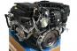 Motor gasolina 278927  - OSC_IMAGE 1