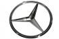 Estrella Mercedes  - OSC_IMAGE 2