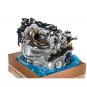 Motor gasolina  - OSC_IMAGE 2