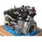 Motor gasolina BM139580  - OSC_IMAGE 2