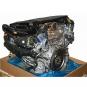 Motor gasolina 176980  - OSC_IMAGE 2