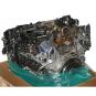 Motor gasolina  - OSC_IMAGE 2