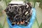 Motor gasolina 178980  - OSC_IMAGE 2