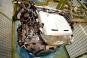 Motor gasolina 178980  - OSC_IMAGE 2