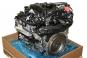 Motor gasolina  - OSC_IMAGE 2