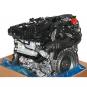 Motor gasolina  - OSC_IMAGE 2