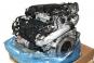 Motor gasolina  - OSC_IMAGE 2