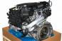 Motor gasolina 256930  - OSC_IMAGE 2