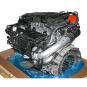 Motor gasolina 256930  - OSC_IMAGE 2