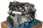 Motor gasolina 256930  - OSC_IMAGE 2