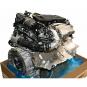 Motor gasolina 256930  - OSC_IMAGE 2