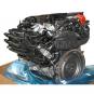 Motor gasolina BM256830  - OSC_IMAGE 2