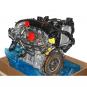 Motor gasolina  - OSC_IMAGE 2