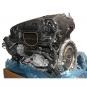 Motor gasolina BM264920  - OSC_IMAGE 2