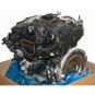 Motor gasolina 264920  - OSC_IMAGE 2