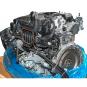Motor gasolina BM264915  - OSC_IMAGE 2