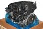 Motor gasolina 264920  - OSC_IMAGE 2