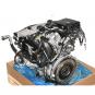 Motor gasolina 274920  - OSC_IMAGE 2