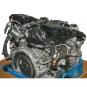 Motor gasolina 276823  - OSC_IMAGE 2